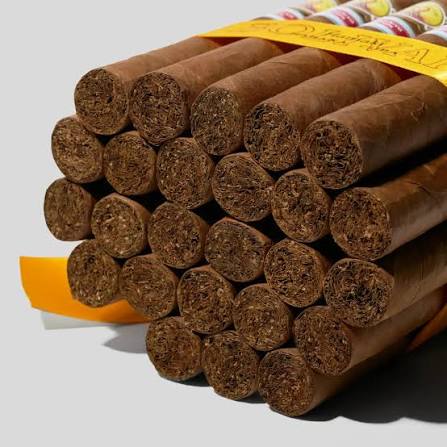 Bolivar Hamaki Regional Edition Japan